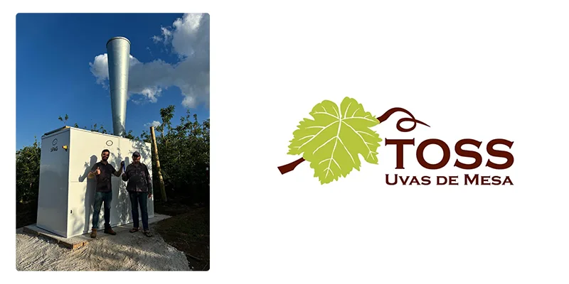Toss Uvas de Mesa